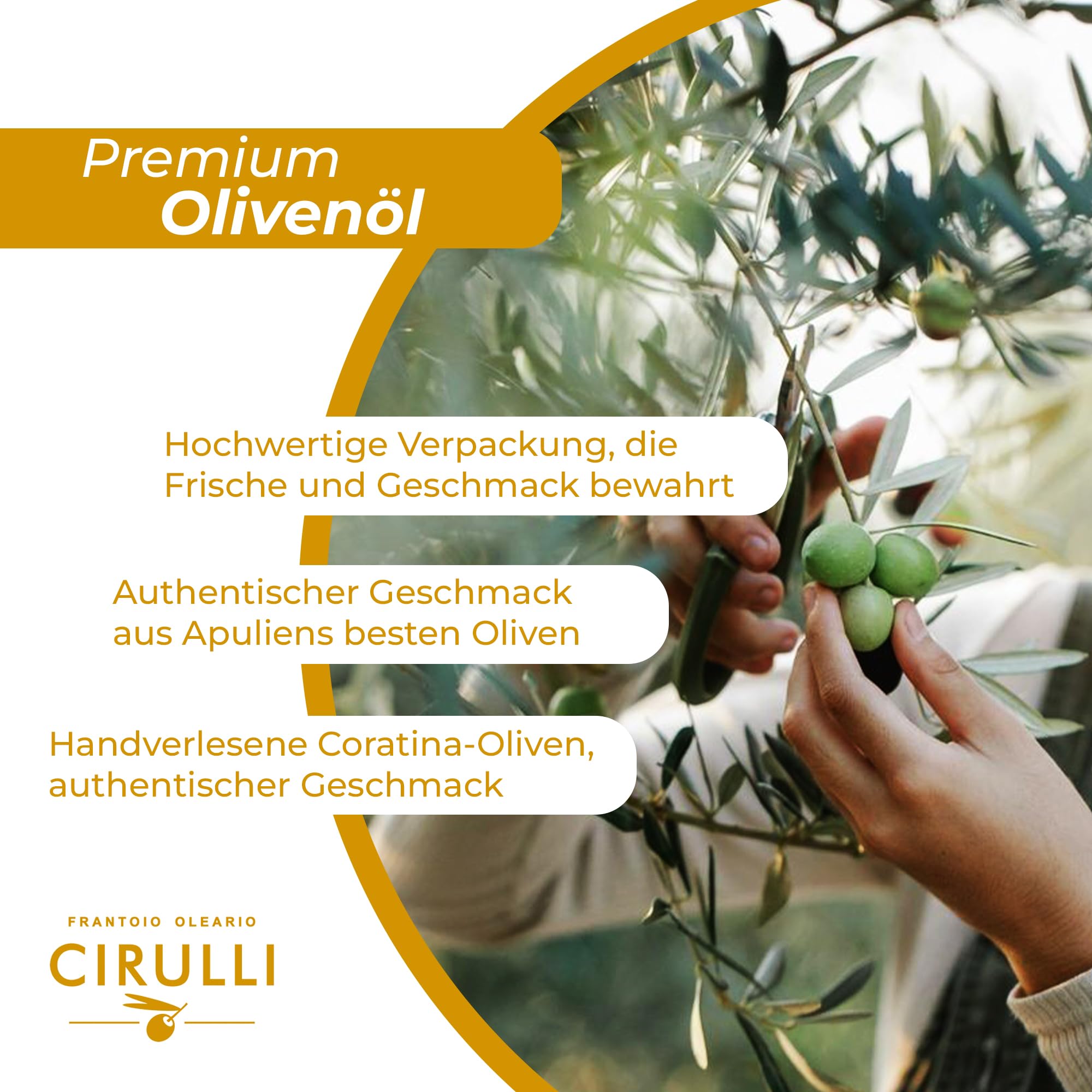 Cirulli Italienisches Natives Olivenöl Extra - 5L - Bag-in-Box mit Seitentap - Kaltgepresstes Premium EVOO - Altes Olivenöl Extra Vergine - Frühe Ernte - Handgepflückt - Reich an Polyphenolen