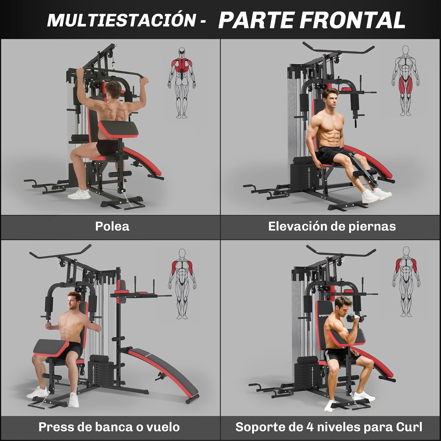 Фронт view exercises: Lat Pulldown, Leg Extension, Chest Press, Bicep Curl