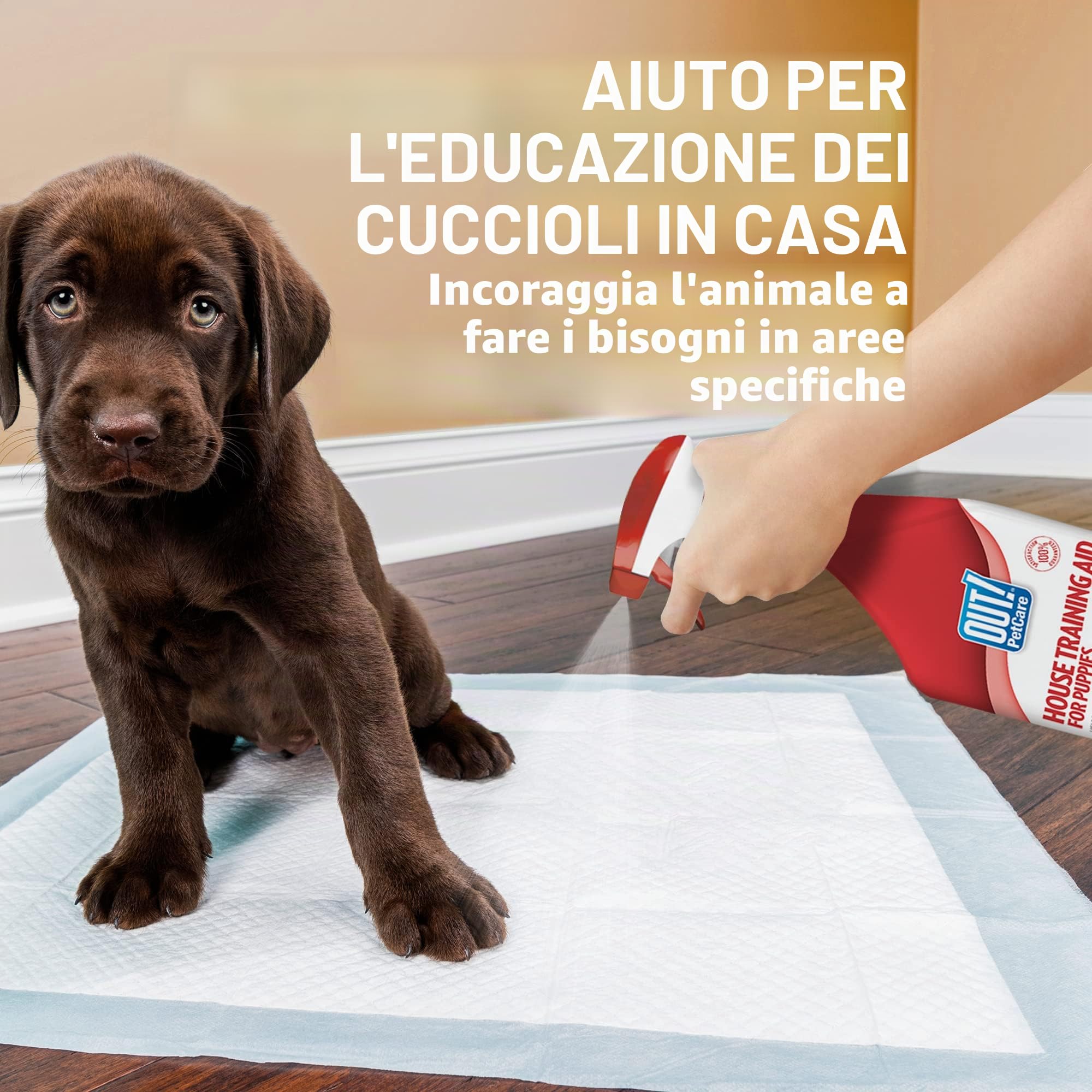 OUT! spray per l'addestramento di cani e cuccioli indoor e outdoor Aiuto alla formazione domestica - 500ml