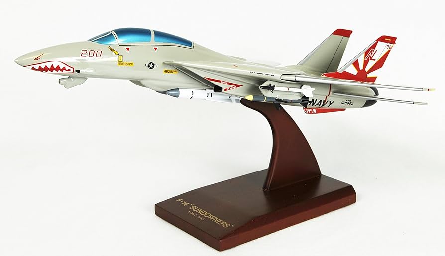 ハセガワ1/48 F-14A TOMCAT VF-111 SUNDOWNERS 81LCmU67pwL._UF894,1000_QL80_.jpg