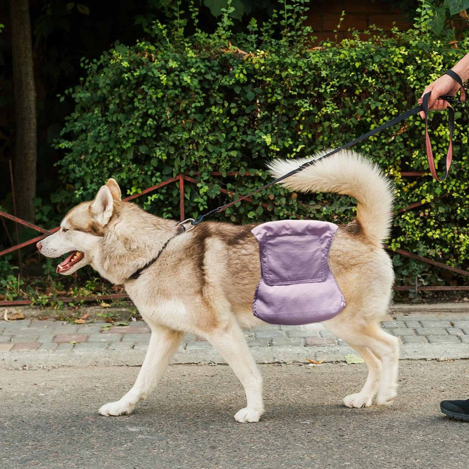 Pannolini per cani di piccola taglia, pannolini per cani femminili | lavabili - Pannolini traspiranti ad asciugatura rapida per cani e bambine | a prova di perdite ad asciugatura rapida