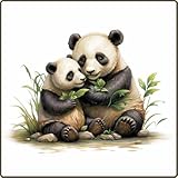 Cute Panda Wallpaper HD