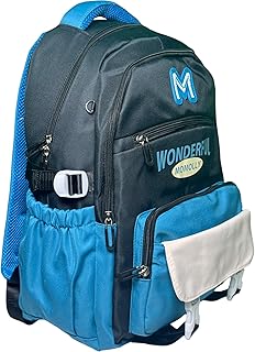 شنطة ظهر مدرسية وترفيهية للمدارس بريميوم كوالتي، شنطة ظهر للابتوب، شنطة ظهر مقاومة للماء، 4 جيوب لتلبي جميع الاحتياجات للبنات والطالبات والنساء( مقاس 43*31*22سم)