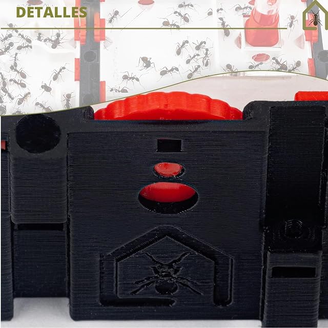 Foto 3 de 7 de Anthouse.es - Caja de Forrajeo para Hormigueros Modulares 3D - QBIK Duo - Terrario Mini Colonias