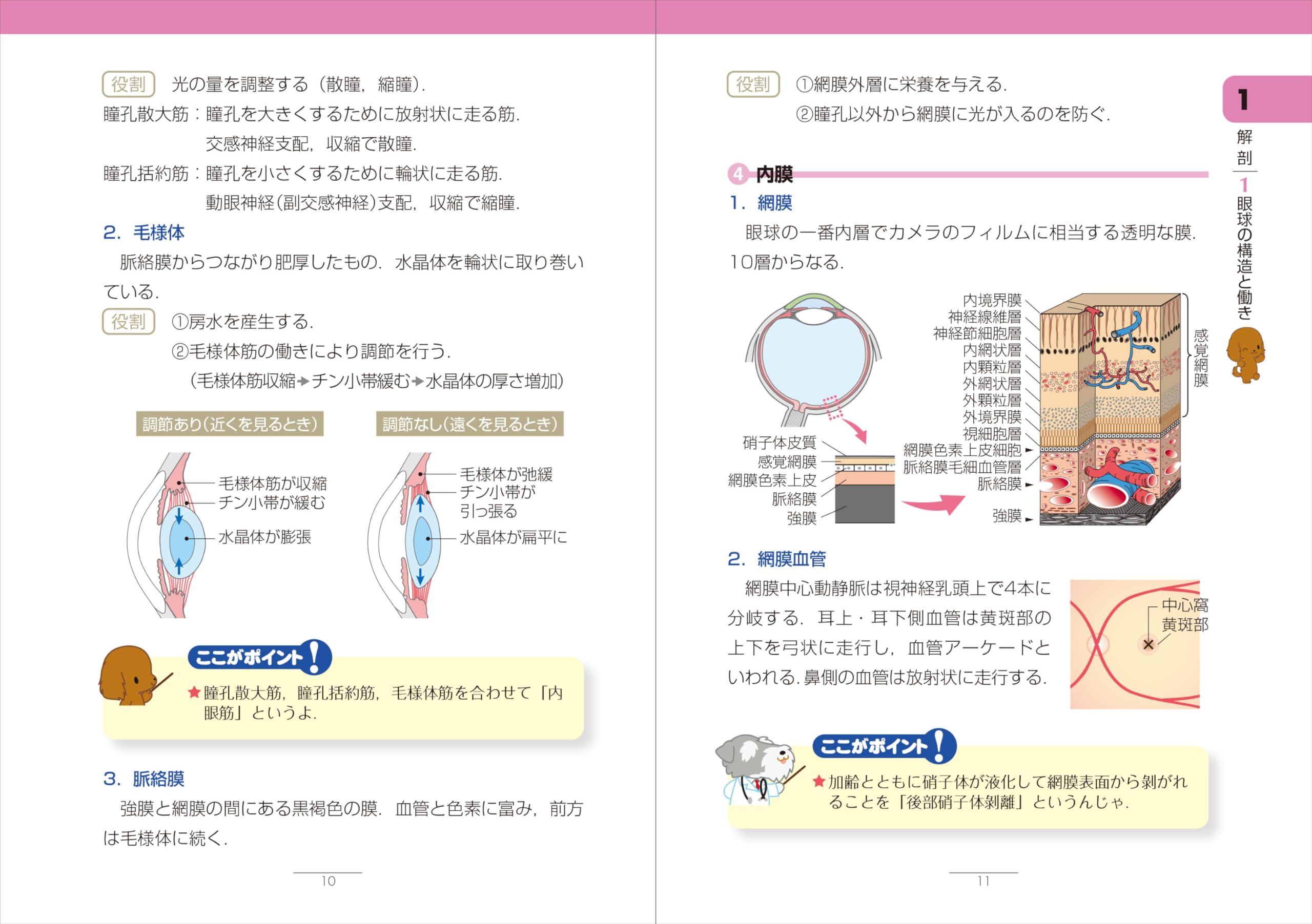 Amazon.co.jp: 加藤 浩晃: 本、バイオグラフィー、最新アップデート