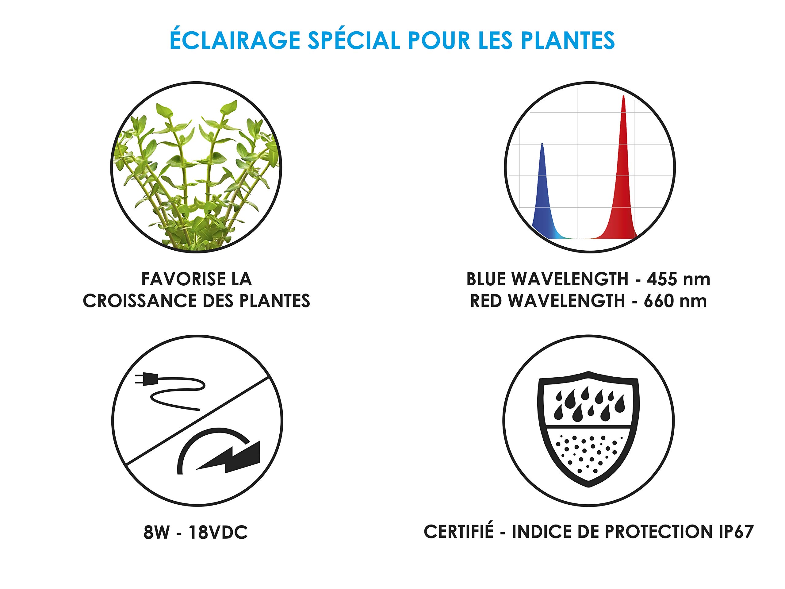 CLA 60 Piante Nere Lighting z Przetwornikiem