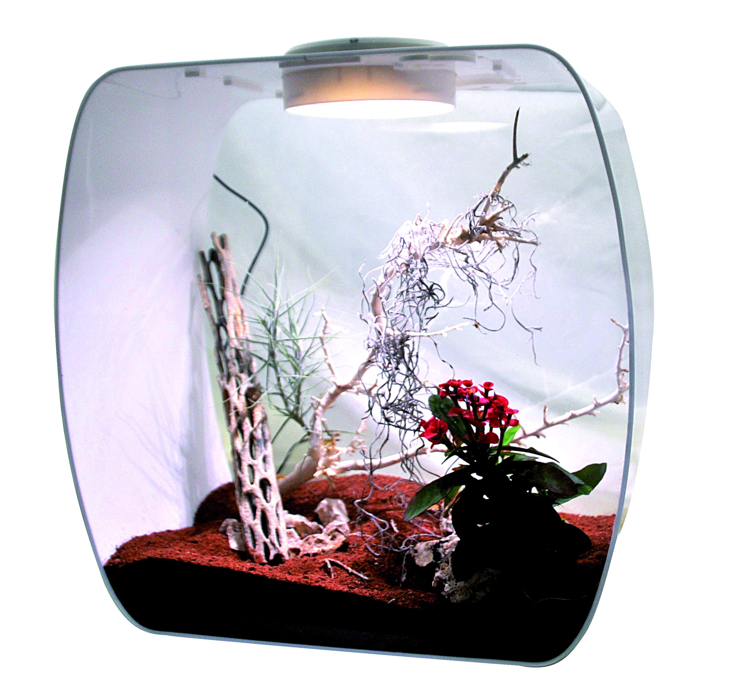 Life Experience Kit déco pour Petits terrariums Nano