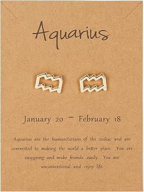18K Gold Plated Zodiac Stud Earrings 12 Constellation Astrology Card Packaging Horoscope 18K Gold Plated Little Ear Stud for Women Birthday Anniversary Friendship Exquisite Jewelry Gift