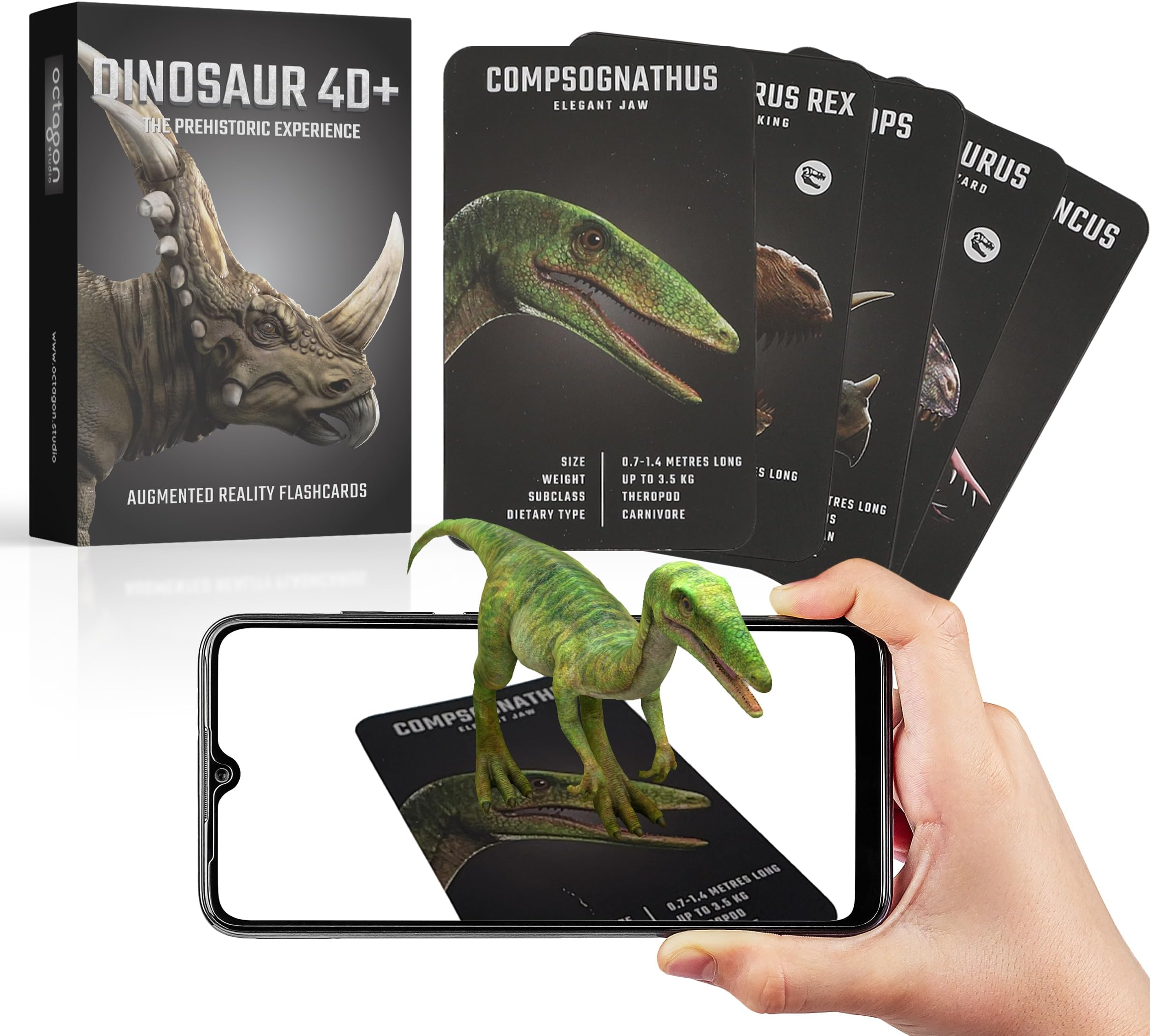 Dinosaur 4 D Flashcards