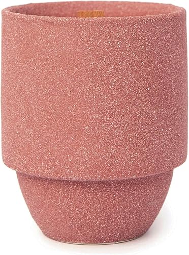 Paddywax National Parks - Vela perfumada de cera de soja artesanal fabricada en los Estados Unidos, tarro de cerámica texturizada de 11 onzas,