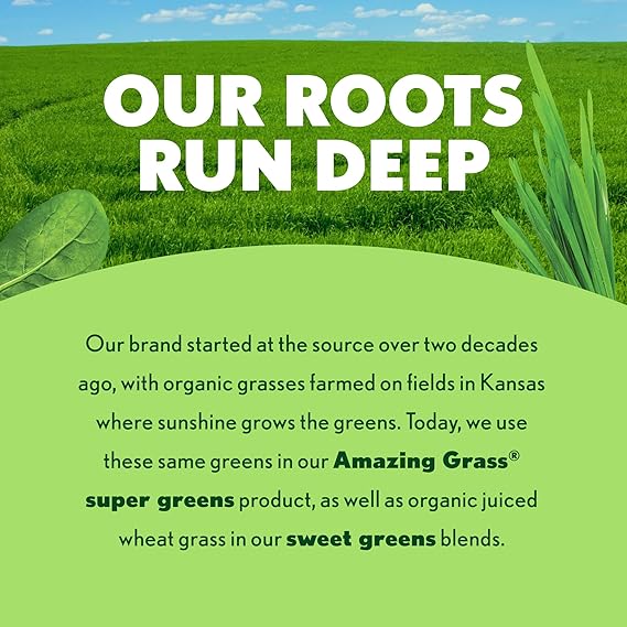 Amazing Grass Super Greens Powder Digest, Organic Greens Blend Smoothie Mix, Digestion Support, Spirulina, Chlorella, Probiotic Drink Mix, Pineapple Guava, 30 Servings, 7.4 Ounce (Packaging May Vary)