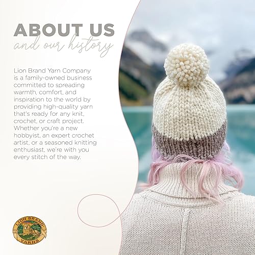 Vista 65 de Lion Brand Yarn Wool-Ease Thick & Quick Yarn - 318.2 ft, Graphite Grafito