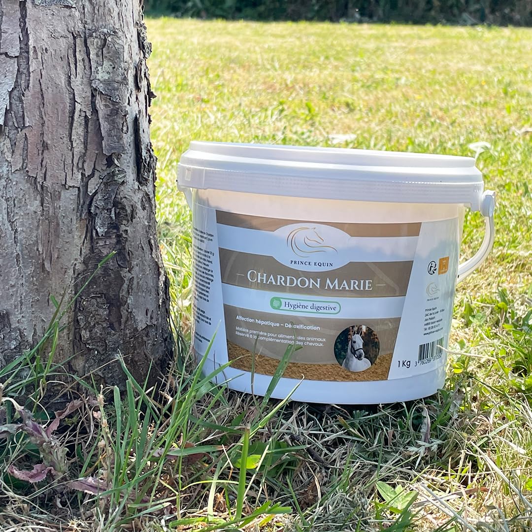 Chardon Marie - Complément nutritionnel Cheval - Seau 1 kg - Détoxification Foie Cheval - Élimination des toxines - Marque Française