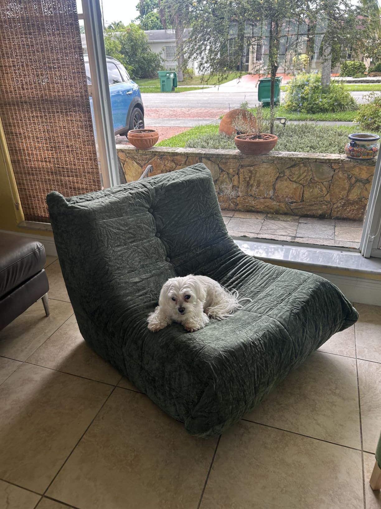 Customer photo