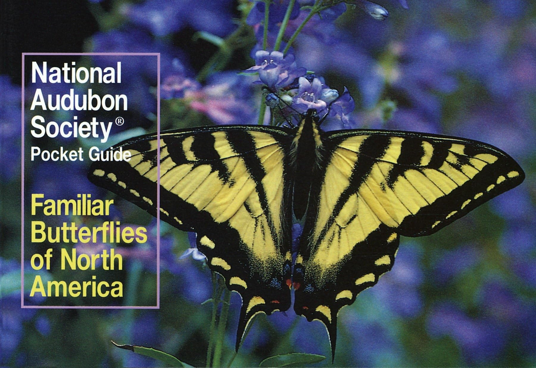Familiar Butterflies North America (Audubon Society Pocket Guide)