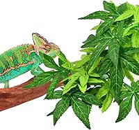 Vista 7 de KATUMO Plantas de reptiles, 3 plantas colgantes de anfibios con ventosa para serpientes, dragones barbudos, lagartos, geckos, sapos, tanque