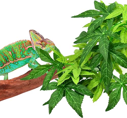 Miniatura 7 de KATUMO Plantas de reptiles, 3 plantas colgantes de anfibios con ventosa para serpientes, dragones barbudos, lagartos, geckos, sapos, tanque de