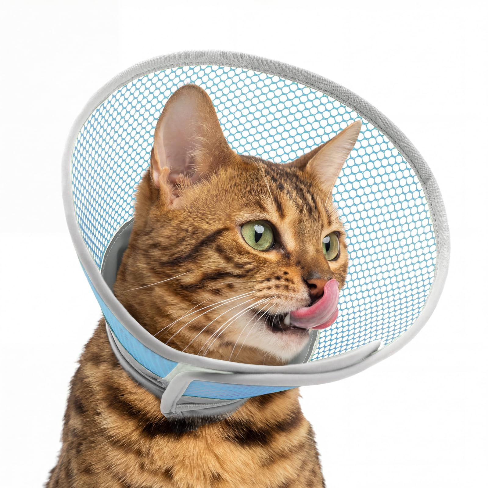 Supet Adjustable Waterproof Cat Cone Collar After Surgery to Stop Licking