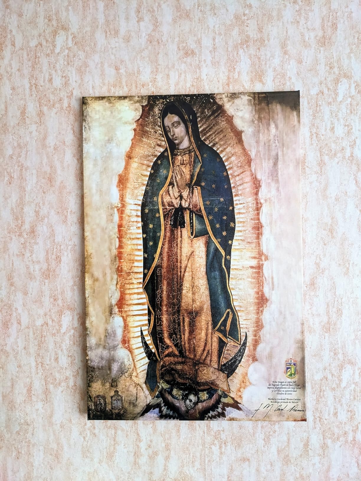 HONEYBABY Our Lady of Guadalupe Portrait Canvas Wall Art Decor Virgin ...