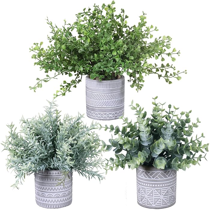Buy Set of 3 Assorted Fake Small Potted Plants Artificial Eucalyptus