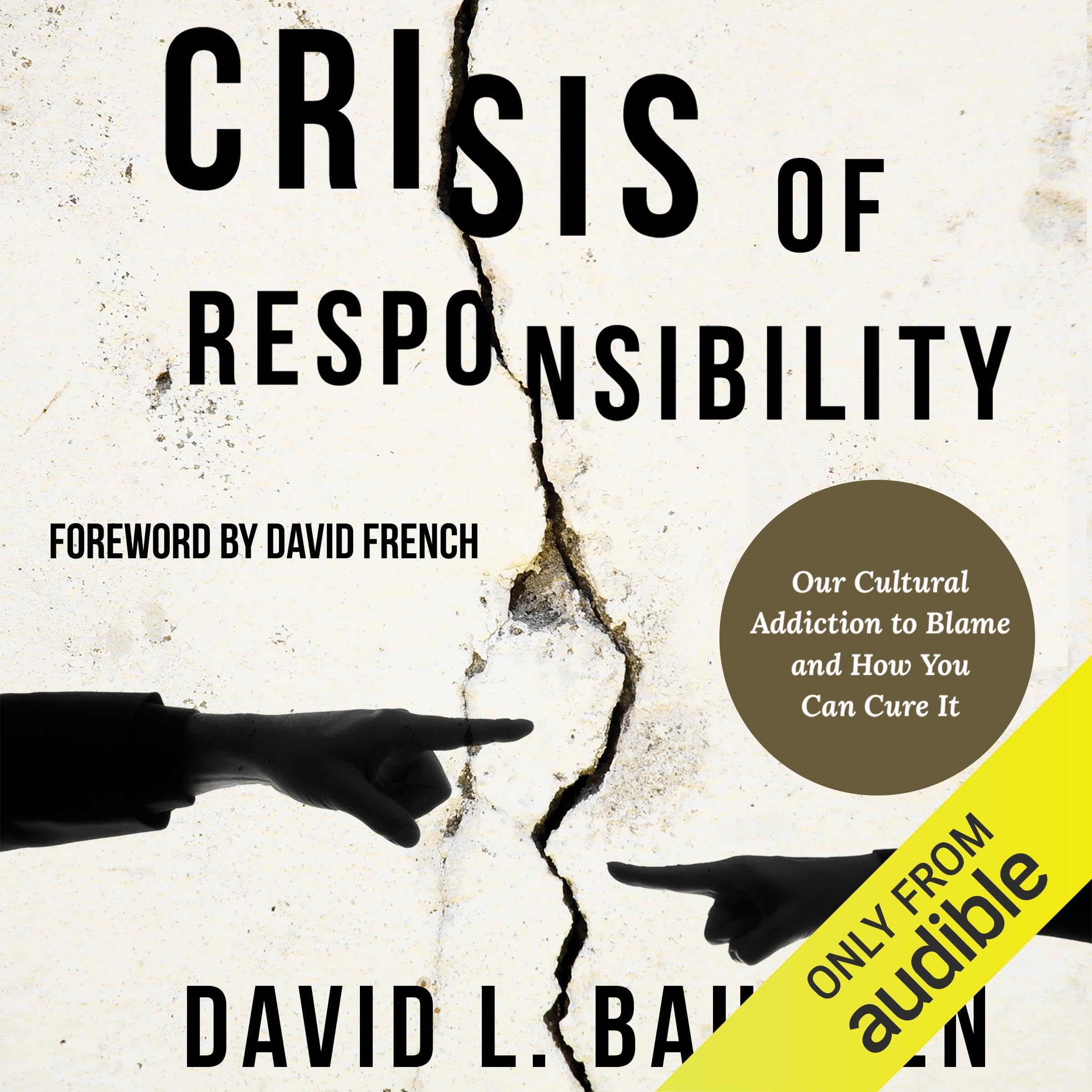 Cover art for Crisis of Responsibility