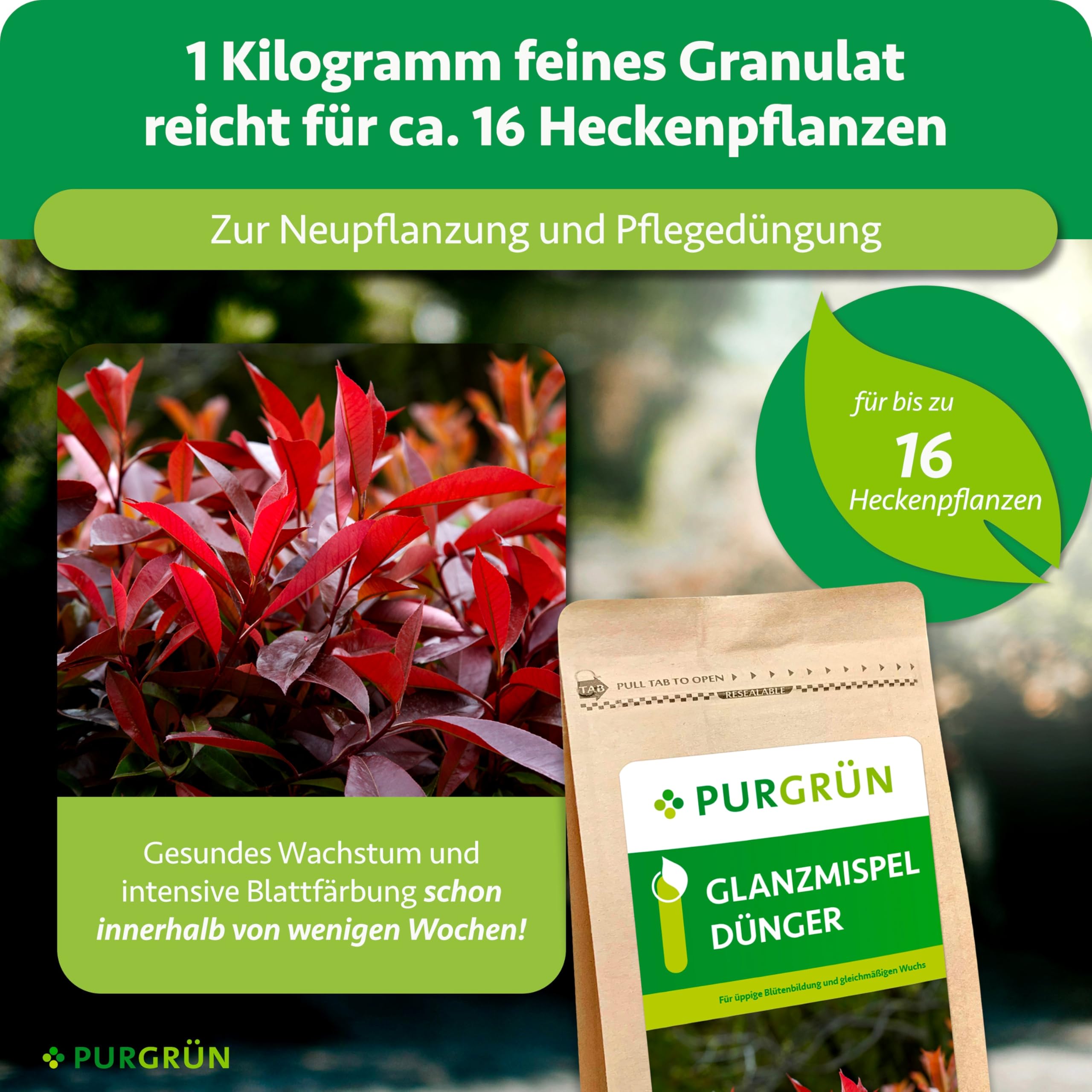 Glanzmispel-Dünger 1 kg – Organisch-mineralische Rezeptur – Feinkörniges Krümelgranulat – NPK 8+4+5 – Extra Magnesium für eine leuchtende Blattfärbung – Verbessert die Bodenqualität