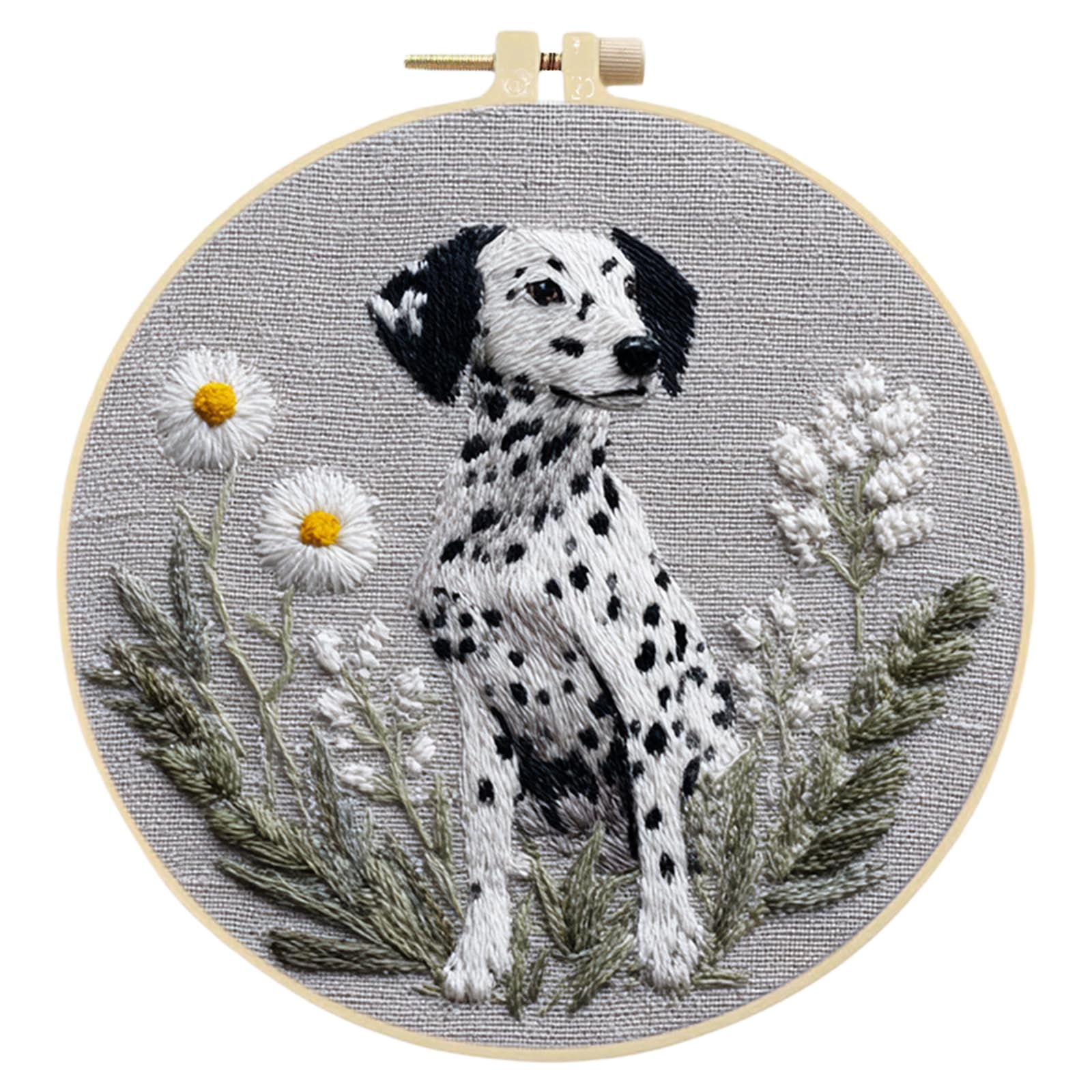 Kexpery Cross Stitch Embroidery Kit for Beginners 30x30cm with 20cm Hoop Creative Gift for Adults