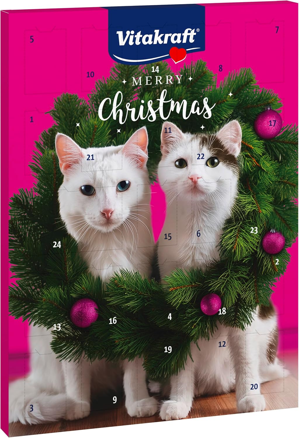 Kerstcadeau voor je Kat: 10 Ideeën die Katten Echt Leuk Vinden