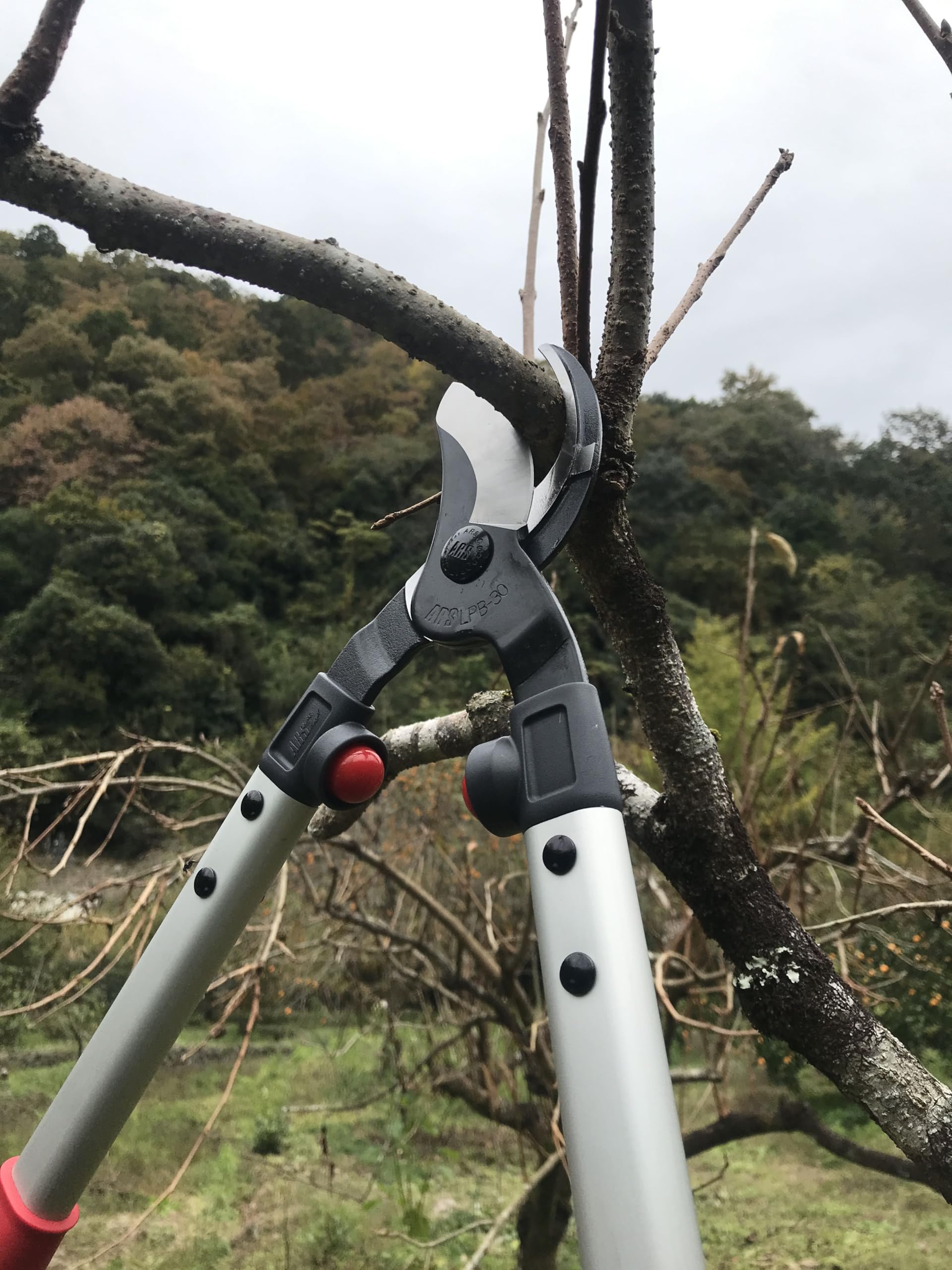 【特価商品】アルス 太枝切り鋏 ロッパー LPB-30S 太枝切り鋏ロッパーS LPB-30S｜アルス《公式》園芸刃物ショップ