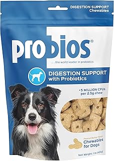 Probios Digestive Support Chewables for Dogs, Daily Probiotic Supplement for Gut Health, Digestion & Immune Support, 1 lb
