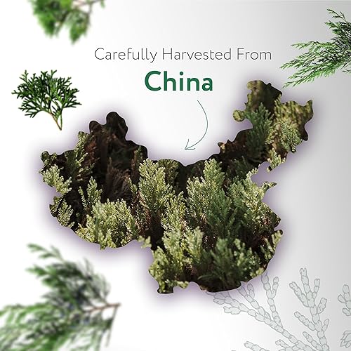 Miniatura 3 de HBNO Aceite esencial de bayas de enebro, 1 onza (1.0 fl oz), tamaño de viaje, aceite de bayas de enebro natural, destilado al vapor, perfecto para