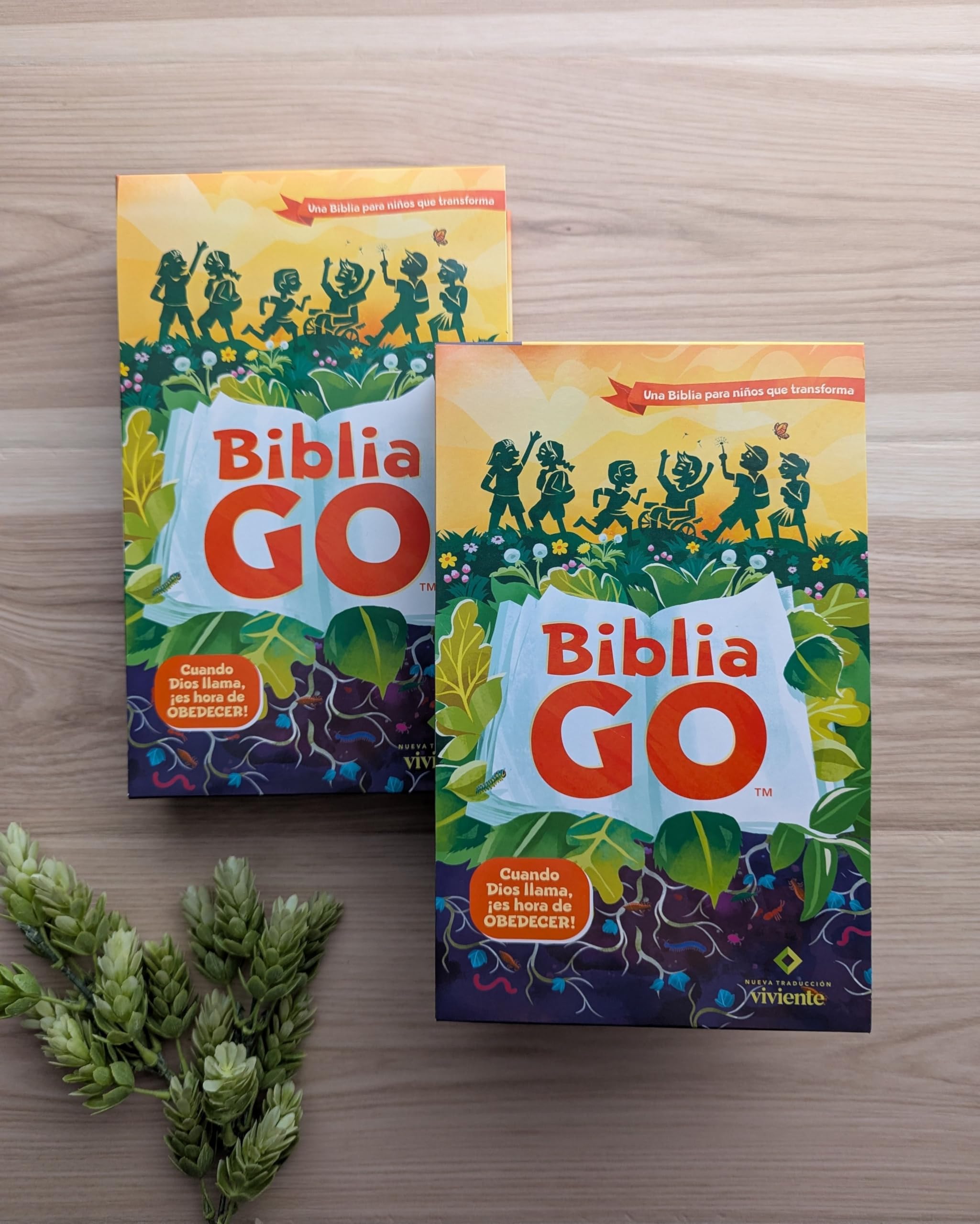 Santa Biblia/ Holy Bible: Biblia Go Para Niños Ntv, Sentipiel, Verde Azulado: Una Biblia Para Niños Que Transforma/ Nlt Go Bible for Kids, Leatherlike Teal: a Transforming Children's Bible