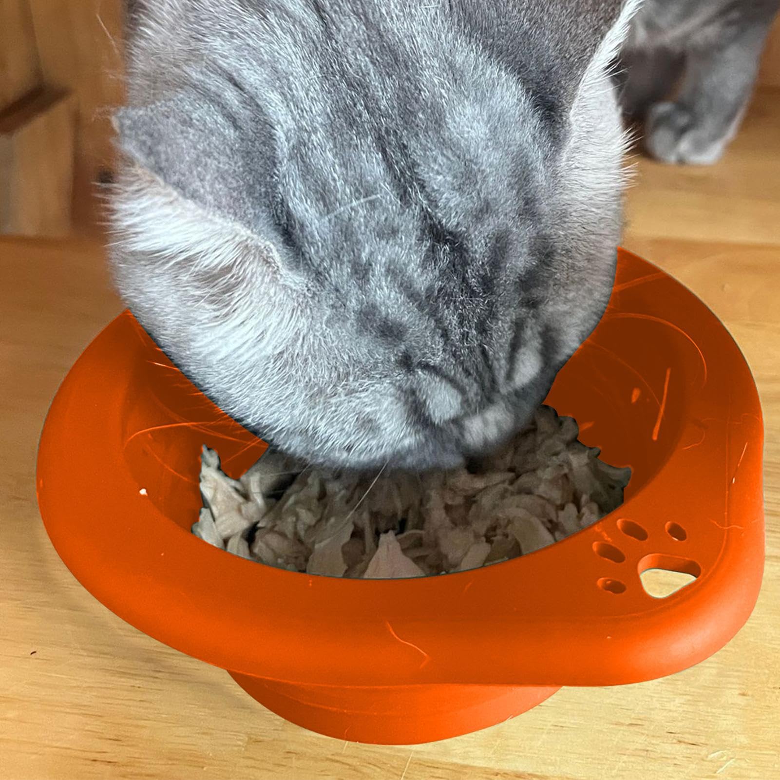 Gamelle d'eau Pliable pour Animaux Gamelle Portable pour Animaux De