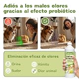 Ver la foto 7