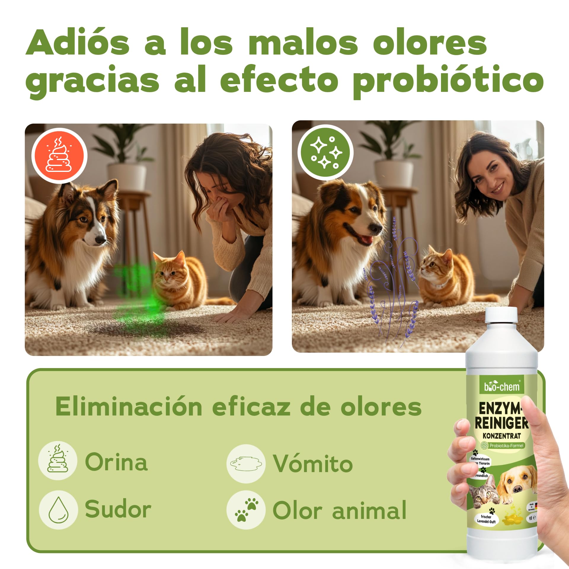 Bio-Chem - Limpiador enzimático concentrado 1L + botella mezcladora - Combate olores y manchas persistentes - Acción probiótica natural para alfombras, tejidos y superficies | Eliminador de olores contra orina, orina de gato y orina de perro para perros y