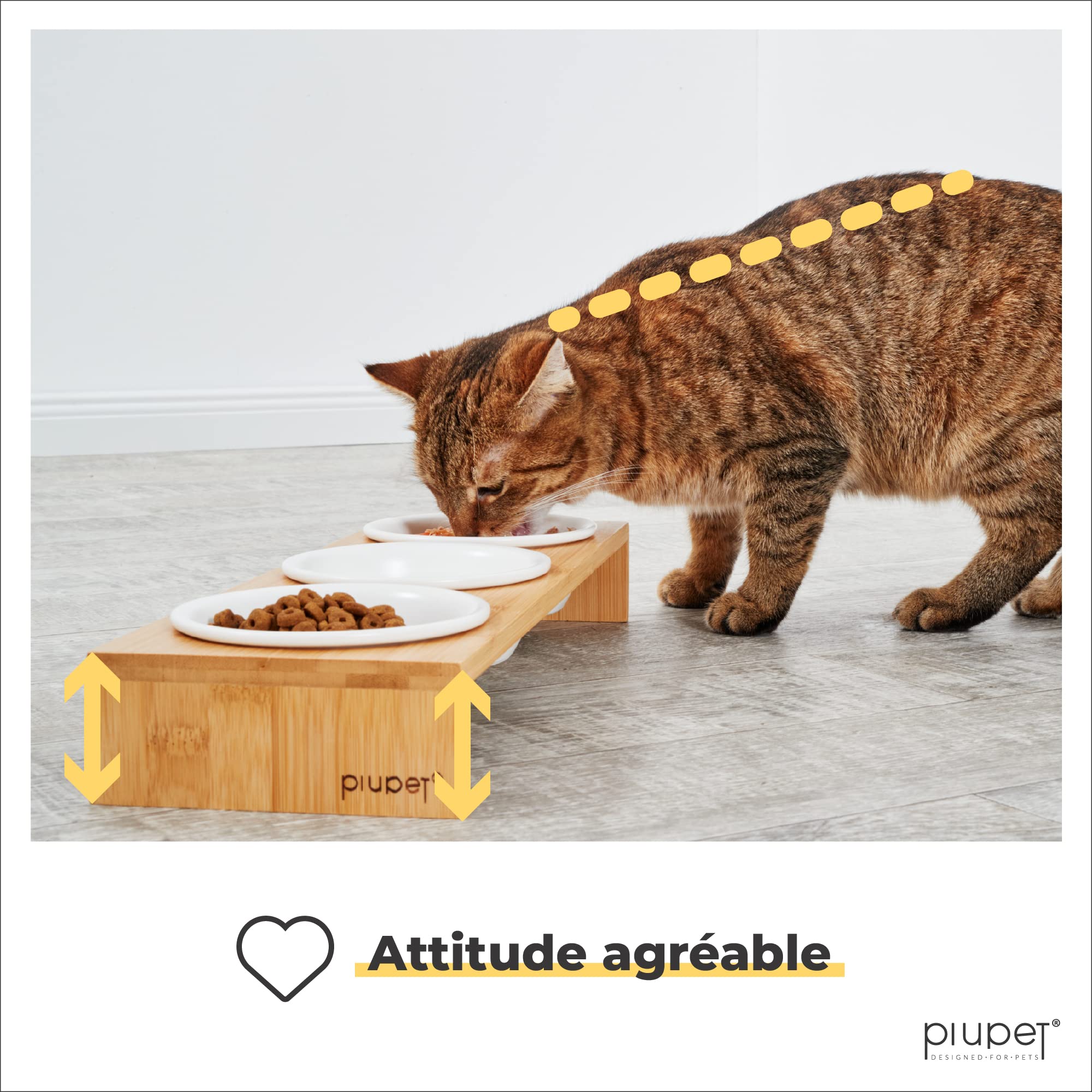 PiuPet® 3er Gamelle Chat I 250ml I Passe au Lave-Vaisselle I Gamelle Chat surélevée I Mangeoirs et abreuvoirs pour Chats et Petits Chiens I Support avec 3 Écuelles