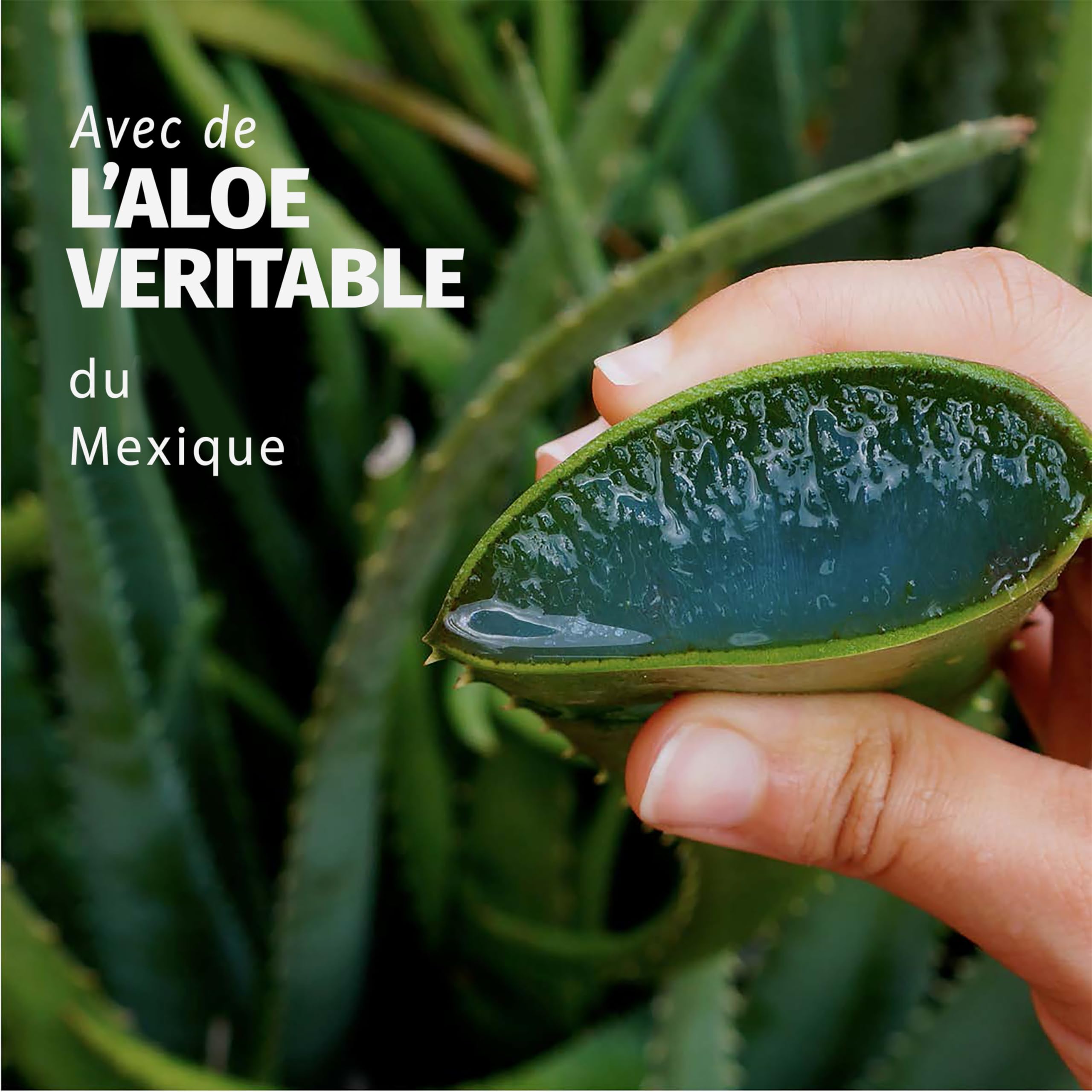 Herbal Essences Après-Shampoing Aloe Hydratant 350ml Pour Cheveux Très Secs. Mélangé Avec Ingrédients Naturels Et Parfum Jasmin. Végan Sans Cruautése réfère aux ingrédients de la formule