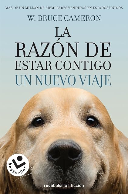Portada de La Razon de Estar Contigo: Un Nuevo Viaje