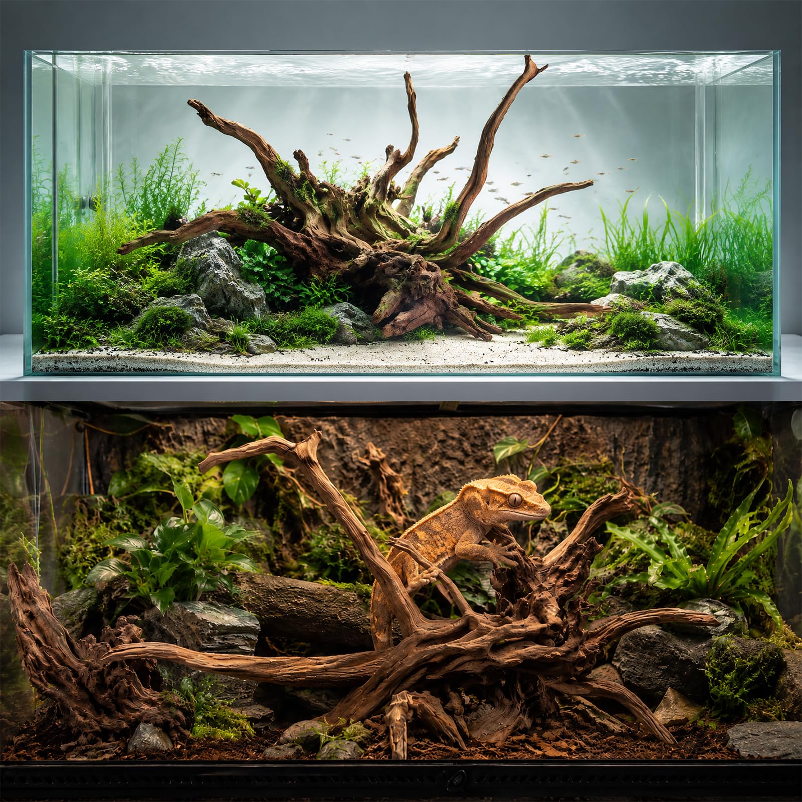 emours Bois flotté naturel pour aquarium, bois flotté unique pour décoration d'aquarium, terrarium et exposition de reptiles (30-40 cm)
