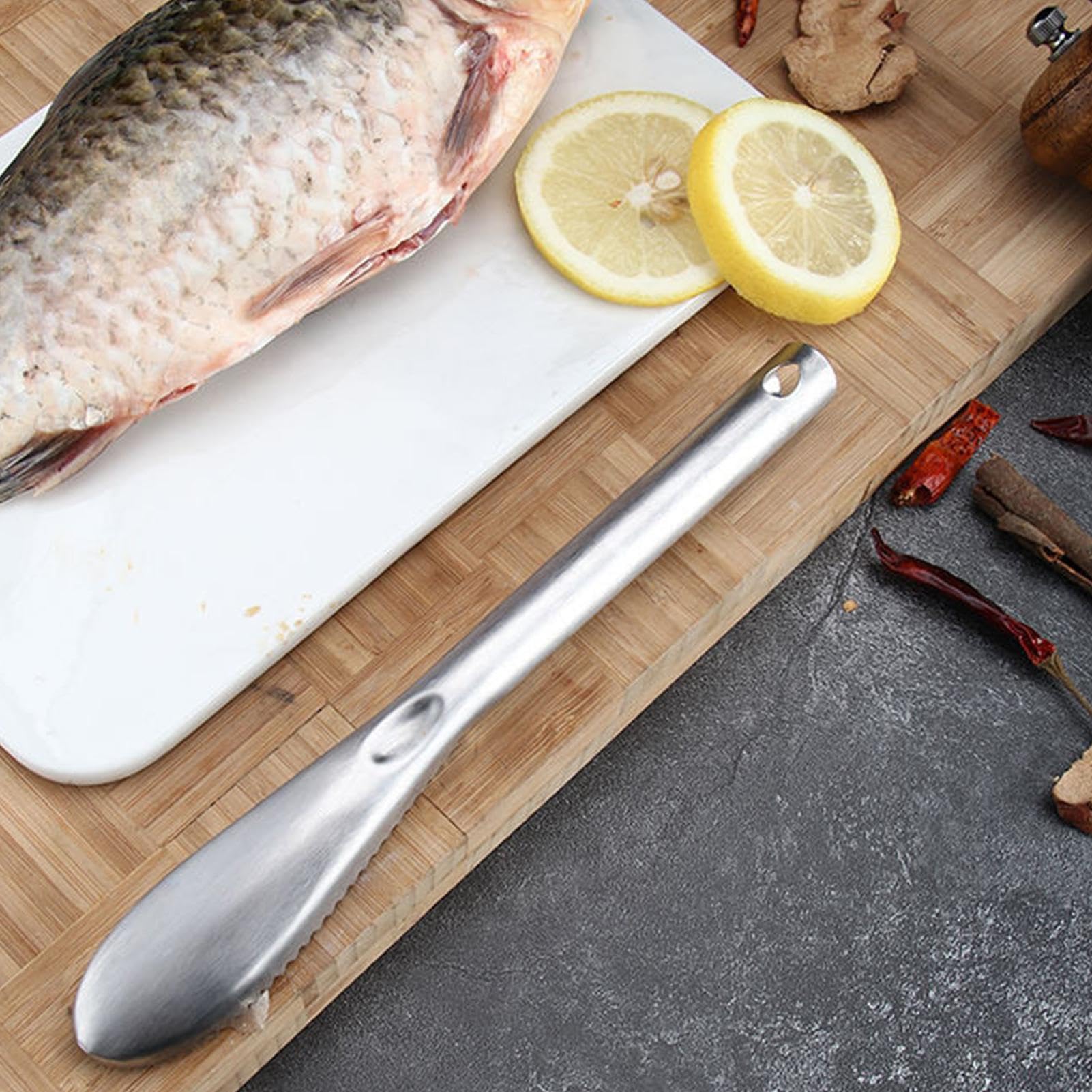 Écailleur à Poisson En Acier Inoxydable 304 - Grattoir Professionnel, Poignée Ergonomique, Facile à Nettoyer, 23 Cm