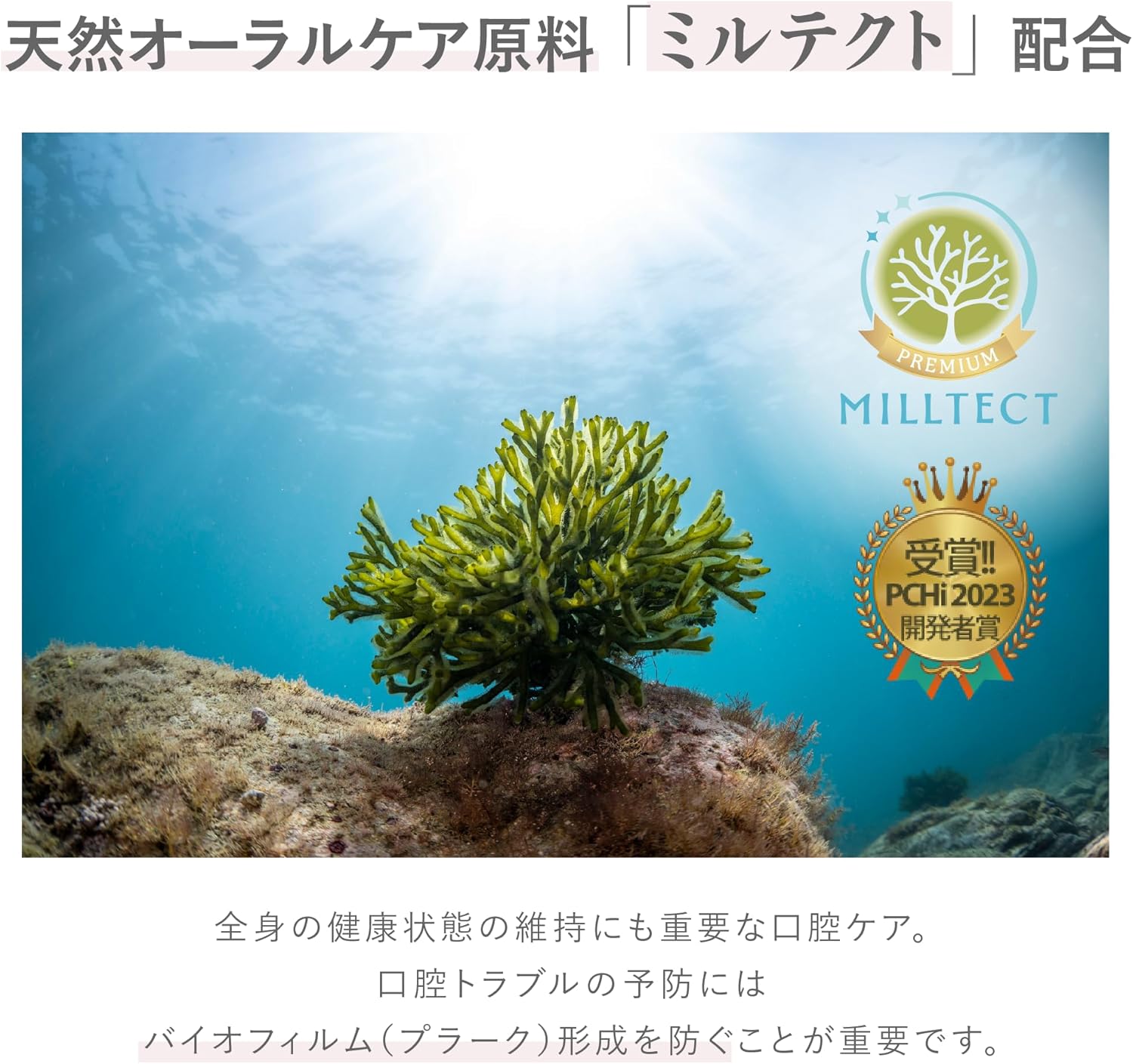 MiiS ホワイティクリーム (ロゼミント) 歯磨き粉 ホワイトニング 人気 自宅 ギフト 研磨剤不使用 セルフ クレイ ミルテクト 研磨剤フリー