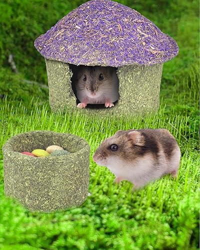 Miniatura 6 de ERKOON Cuenco masticable para hámster y escondite Timothy Heno, golosinas comestibles para hámster pequeño, ratón, rata, mascotas pequeñas (mediano)