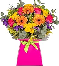 Bright and Colourful Fresh Flower Bouquet Delivered in Presentation Vase | Pink Roses, Germinis, Chrysanthemums & Seasonal Greenery | Pink Card Vase and Green Satin Ribbon | AMFL001