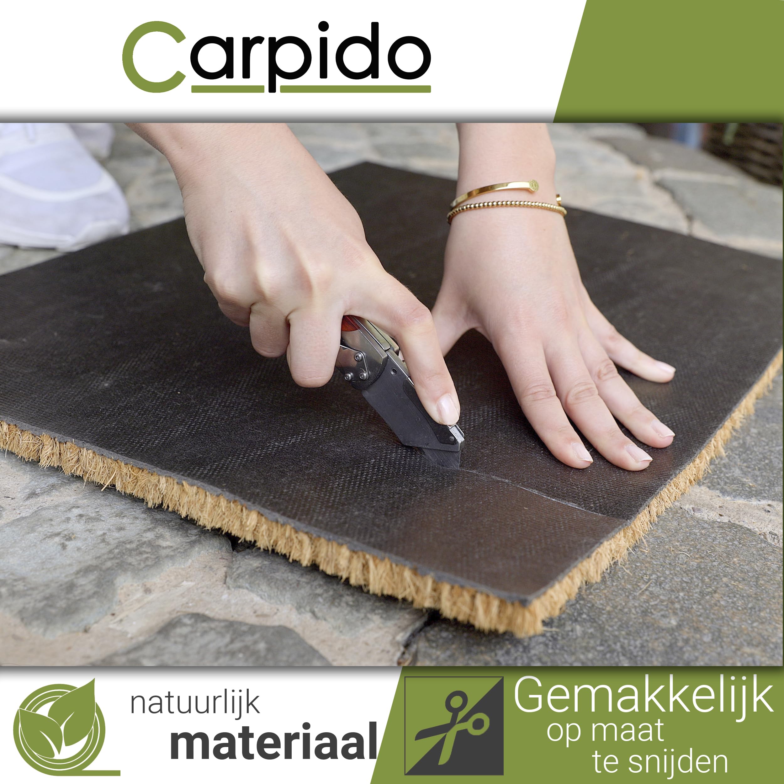 Kokosnoot 3/4 model - Tuincentrum van Ee - Groot assortiment aan Groen
