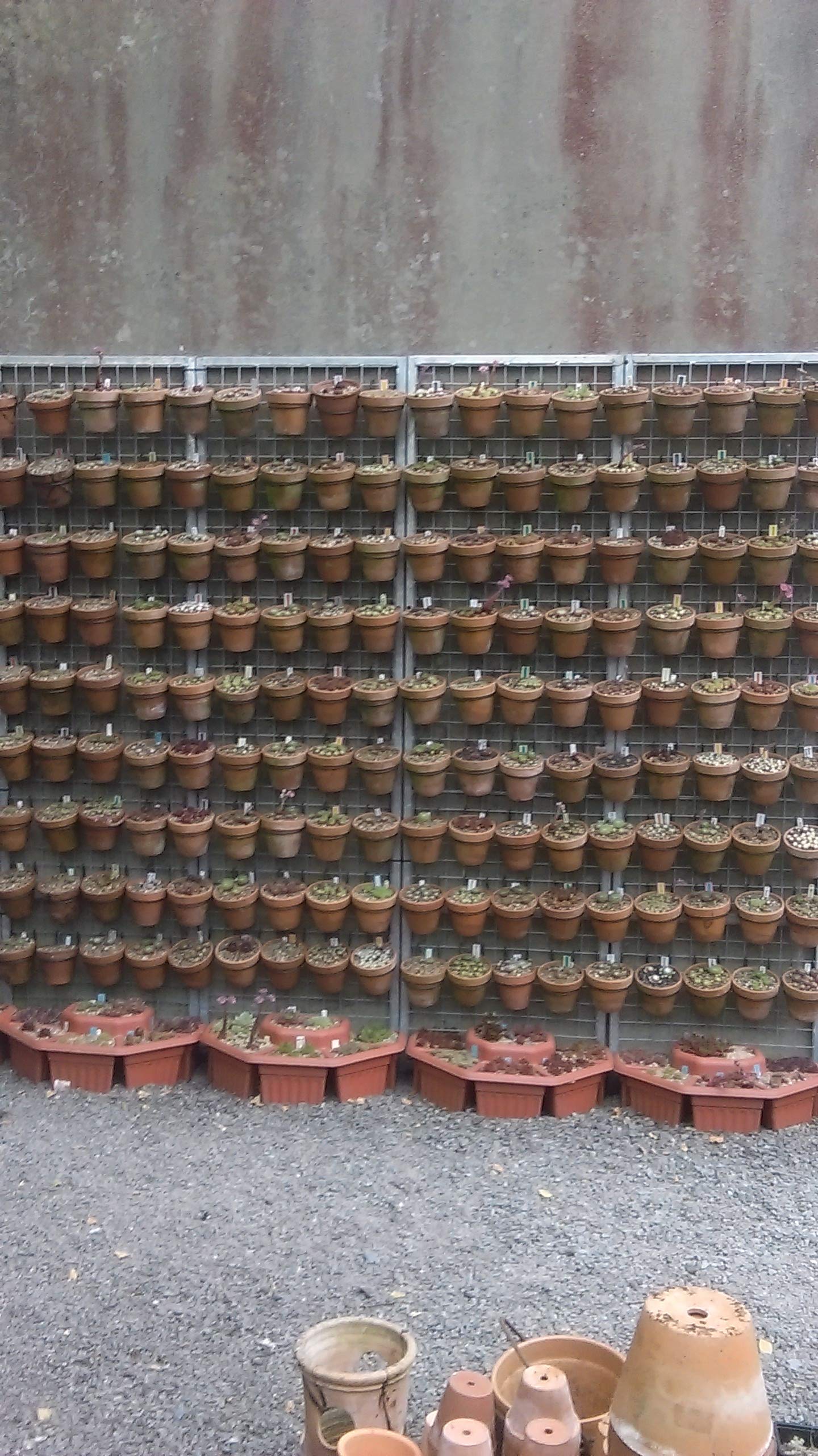 6 Plant pot holders,hangers rings, brackets. Hang 6" pots on chain link