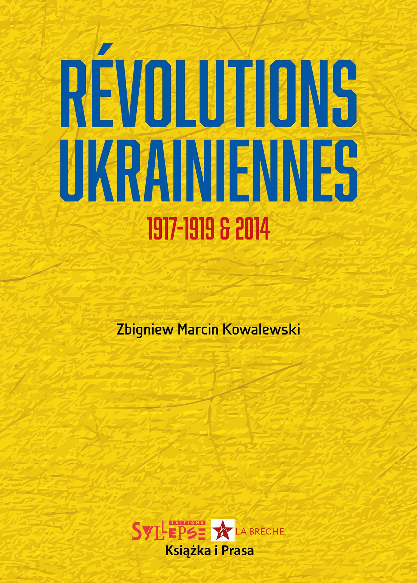 Révolutions ukrainiennes: 1917-1919 & 2014