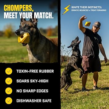 Virtually Indestructible Diamond Dog Toy - Lifetime Replacement - Tough, Durable Chew Toy for Aggressive Chewers - Safe Non-Toxic Natural Rubber - Chew, Tug, Fetch - Med/Large Breed - 5x4