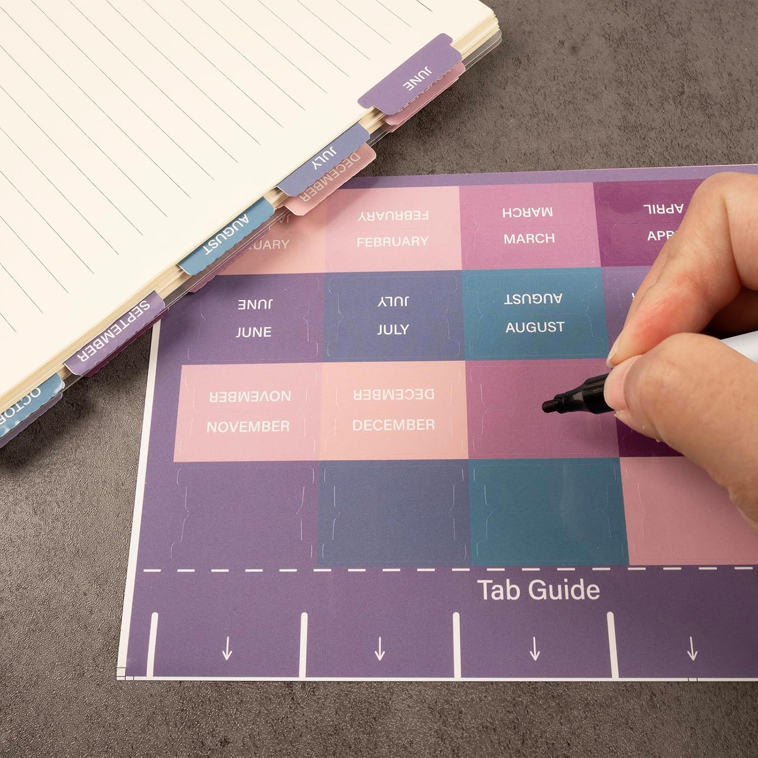 Lumintutu Laminated Planner Monthly Stickers,40 Adhesive Plan Tabs Accessories for Notebooks (2 Sets 12 Month Tabs and 16 Blank Tabs), Calendar Monthly Divider Set (Purple & Pink) image 5