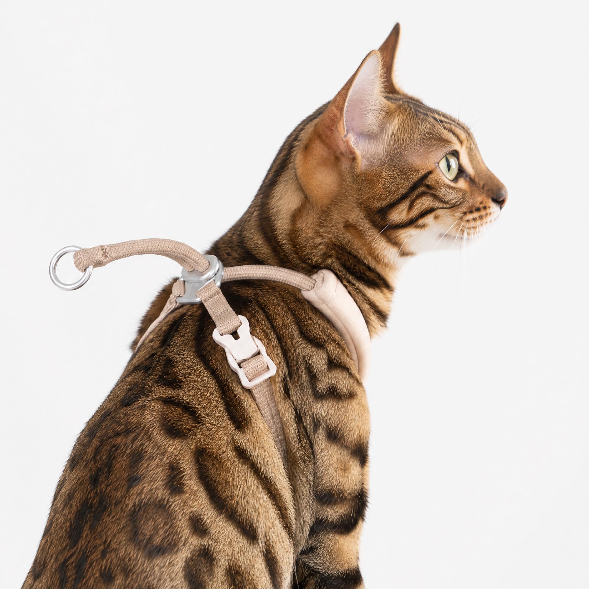 Ausbruchsicheres Katzengeschirr Set, Escape Proof Katzen Harness mit Verstellbarer Katzenleine, Y-Form Anti-Würgen Brustgeschirr für Katzen, Multifunktionale Seilleine (Zartrosa, M)