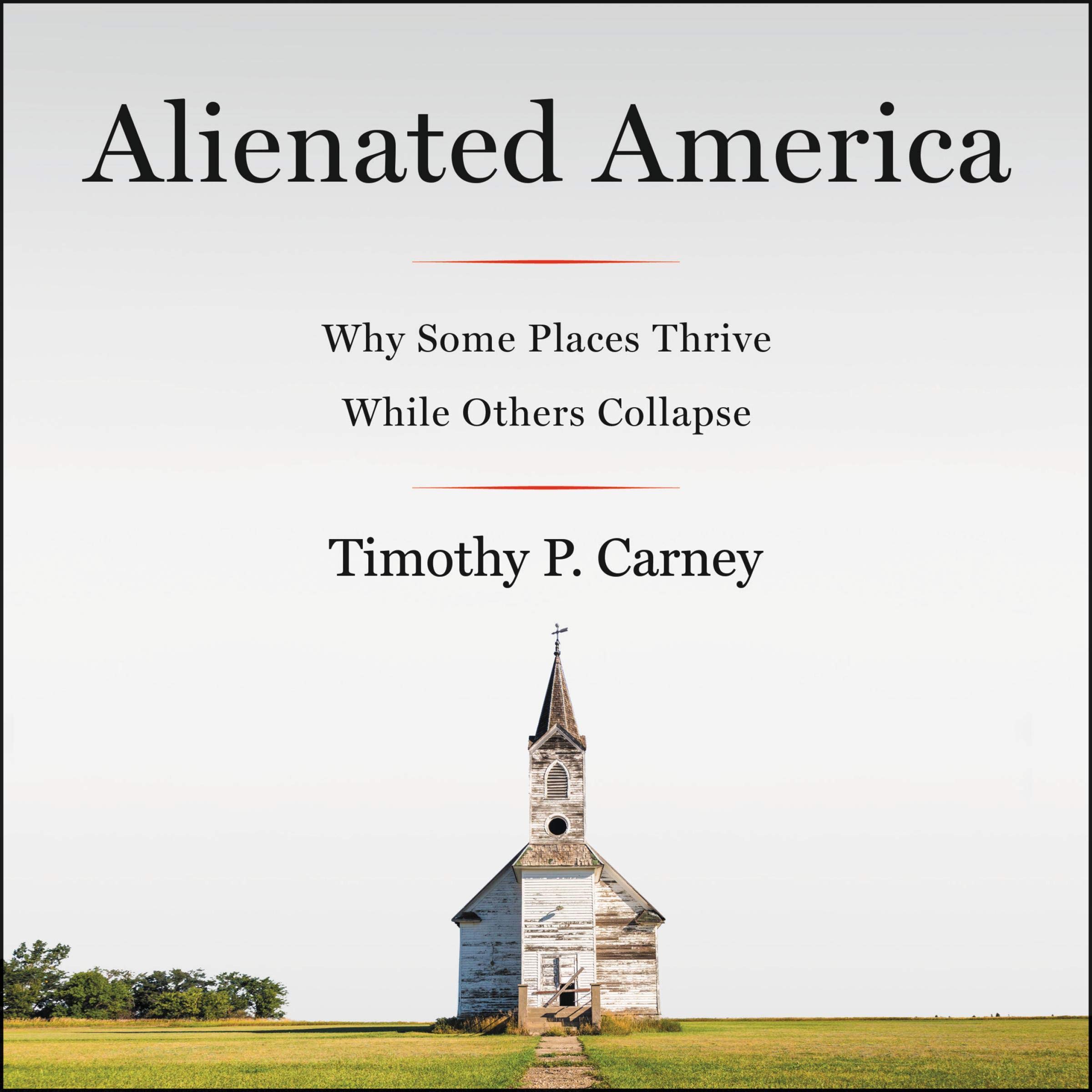 Cover art for Alienated America